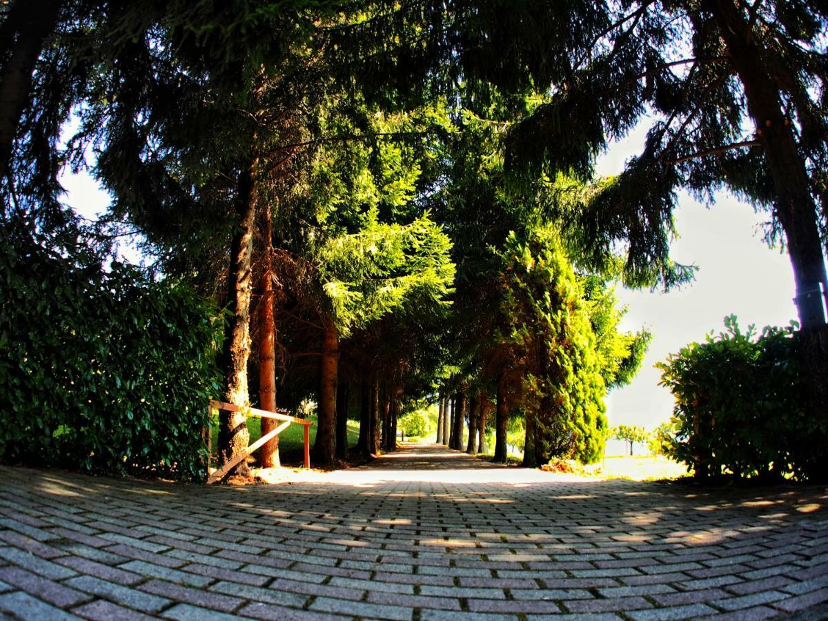 Casa Vacanza Pratolungo Zogno Exterior foto